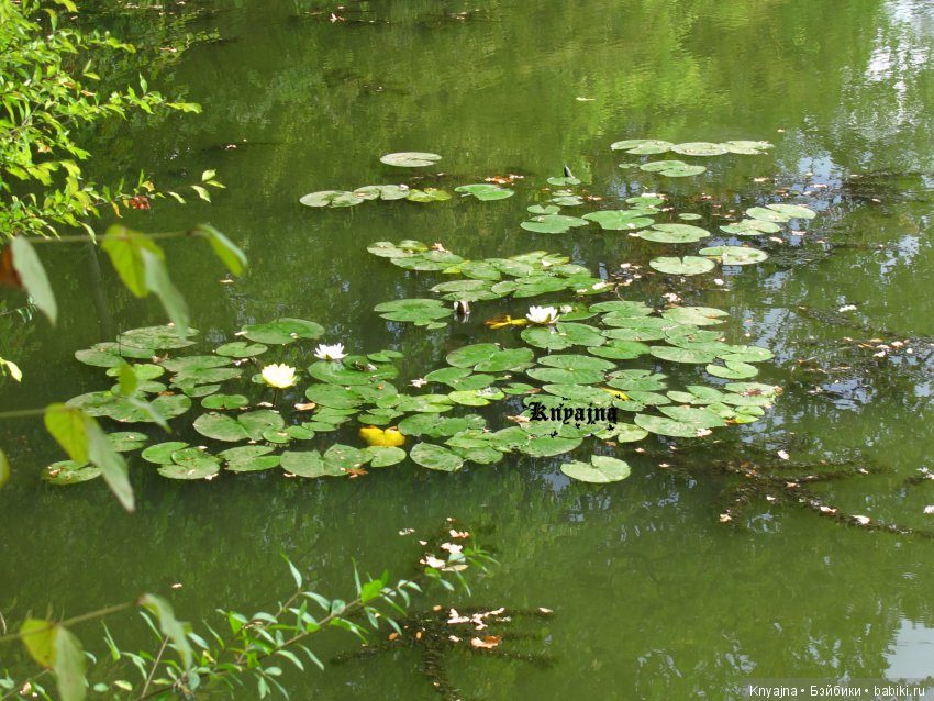 Нежная застенчивая школьница времен Нового Света. Амелия A Girl for All Time