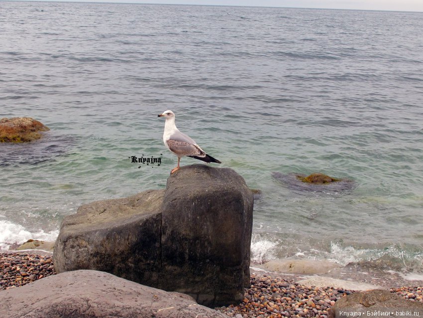 Весна! Жуки прилетели! или моя малышка Леди Баг, Леди Жук (фото 10)