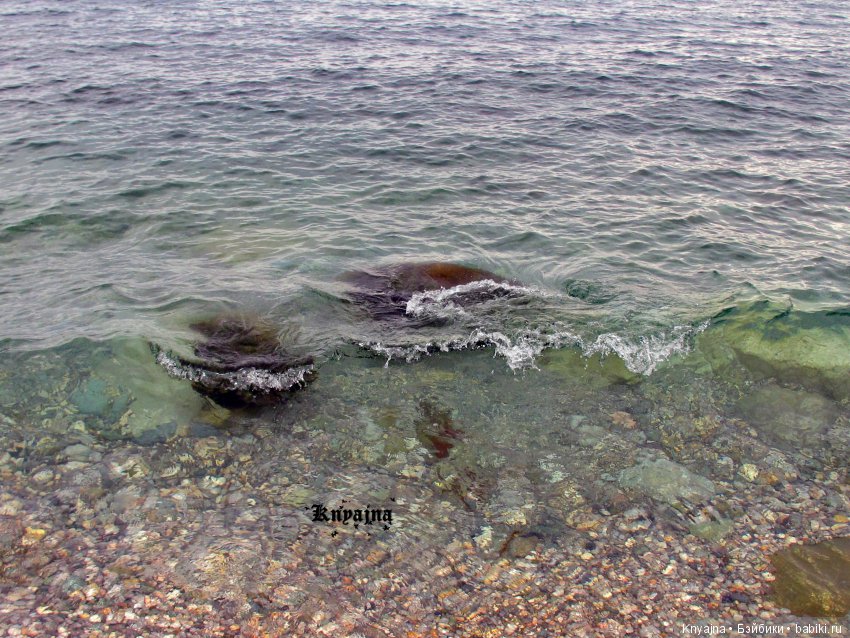 Весна! Жуки прилетели! или моя малышка Леди Баг, Леди Жук