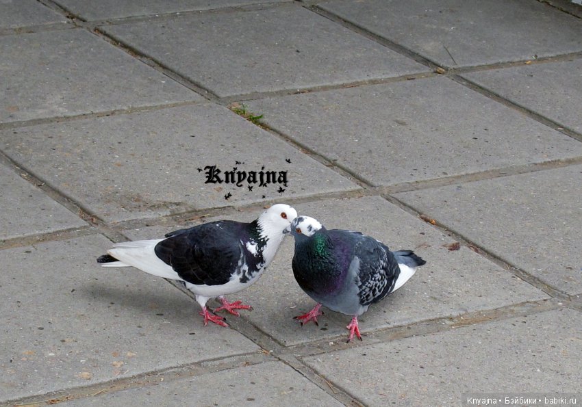 Весна! Жуки прилетели! или моя малышка Леди Баг, Леди Жук