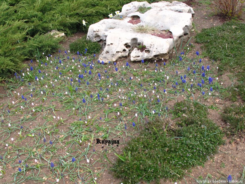 Прогулка с Меган Цвергназе. Или когда все надоело и ты просто пошел гулять