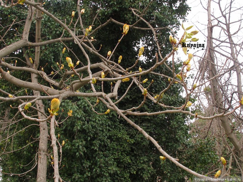 Прогулка с Меган Цвергназе. Или когда все надоело и ты просто пошел гулять