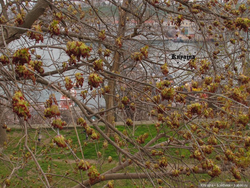 Прогулка с Меган Цвергназе. Или когда все надоело и ты просто пошел гулять