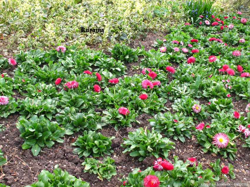 Прогулка с Меган Цвергназе. Или когда все надоело и ты просто пошел гулять