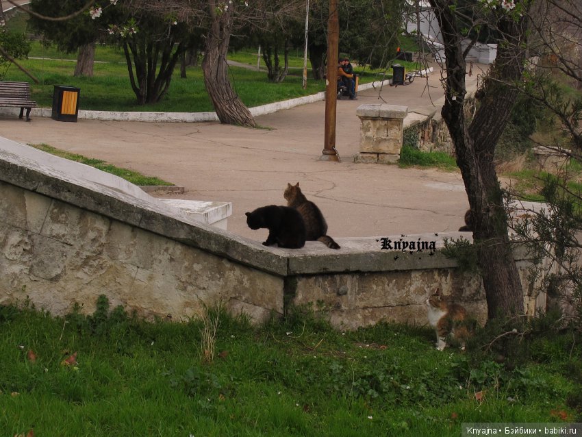 Прогулка с Меган Цвергназе. Или когда все надоело и ты просто пошел гулять (фото 8)