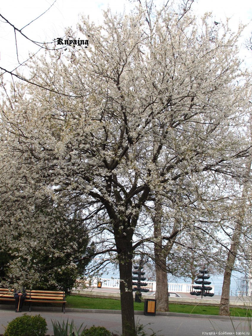 Прогулка с Меган Цвергназе. Или когда все надоело и ты просто пошел гулять