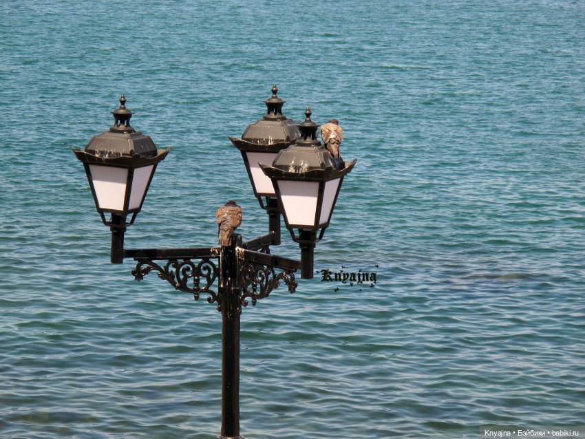 Мы очень соскучились по Вам! Или летняя прогулка девочек Готц у моря (фото 10)