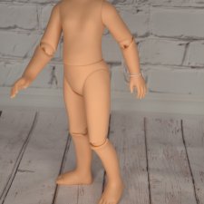 Фирменное шарнирное тело Паола Рейна, рассрочка