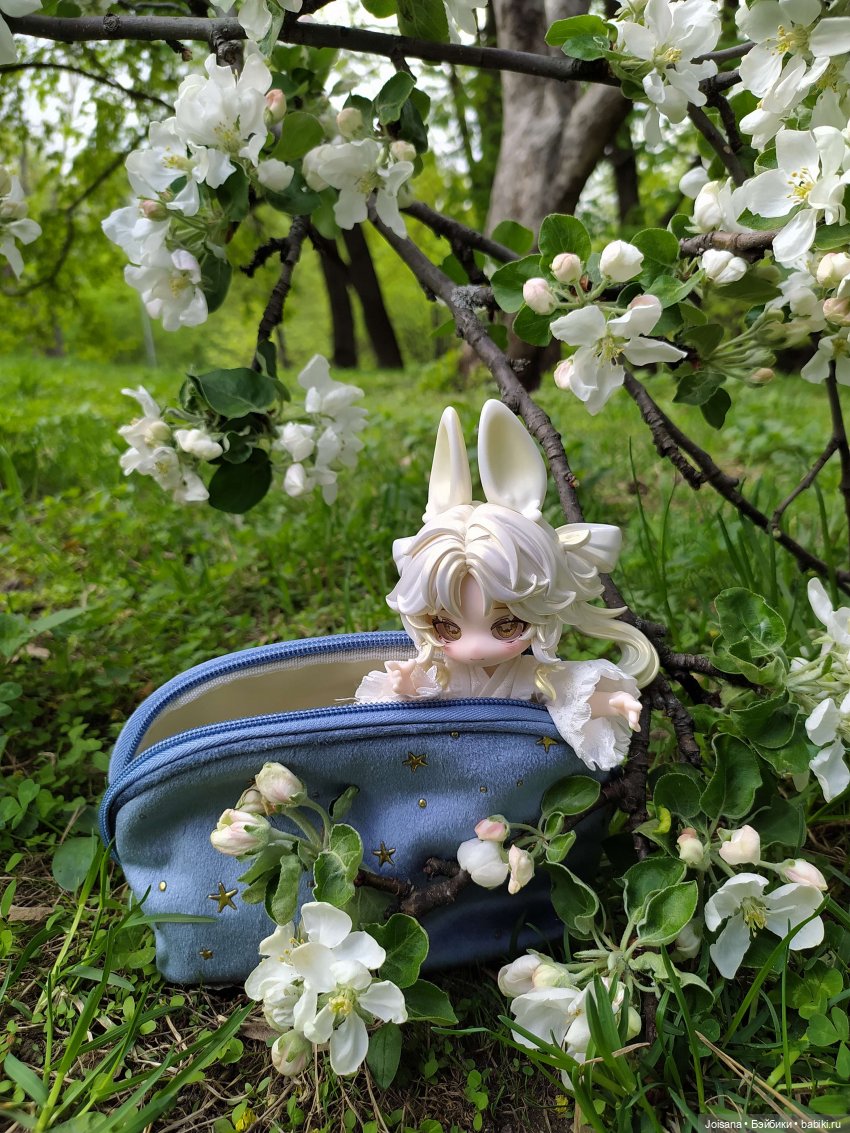 Новиночки в коллекции за январь-сентябрь 2025 г. от 1/12 к 1/3