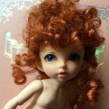 Пукифи Джуди — домашние фото. Pukifee Jude Fairyland