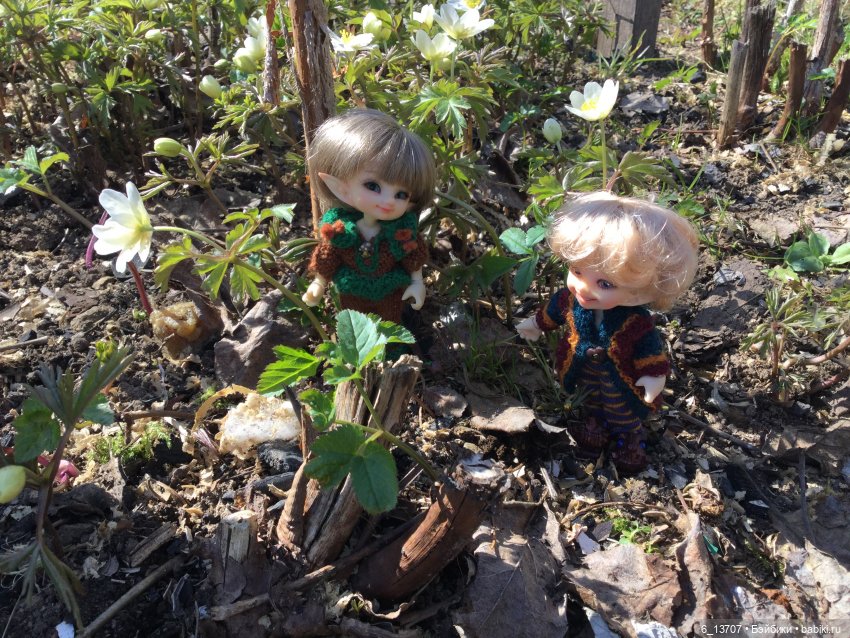 Только-только появились первые цветы, а реалпуки тут как тут. Realpuki, Fairyland (фото 8)