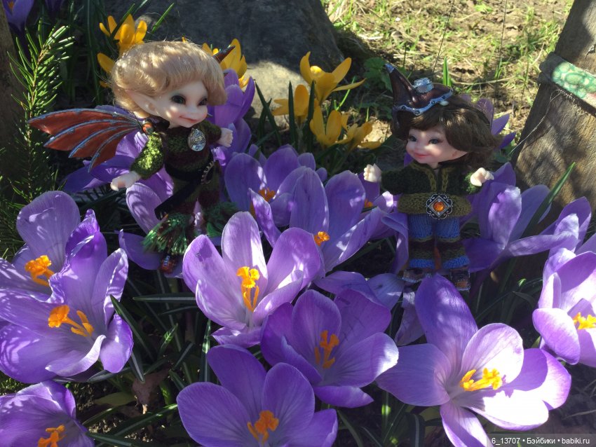 Только-только появились первые цветы, а реалпуки тут как тут. Realpuki, Fairyland