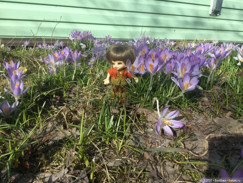 Только-только появились первые цветы, а реалпуки тут как тут. Realpuki, Fairyland