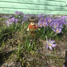 Только-только появились первые цветы, а реалпуки тут как тут.  Realpuki, Fairyland
