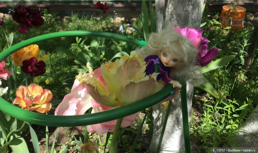 Новости от Fairyland. Готовятся новые релизы realpuki (фото 3)