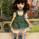 Элементы аутфита Дороти