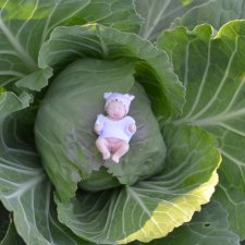 Крошка 4 см в образе  Цветочная малышка