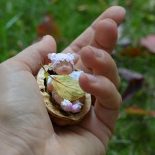 Мои микро малышки в фотосессиях