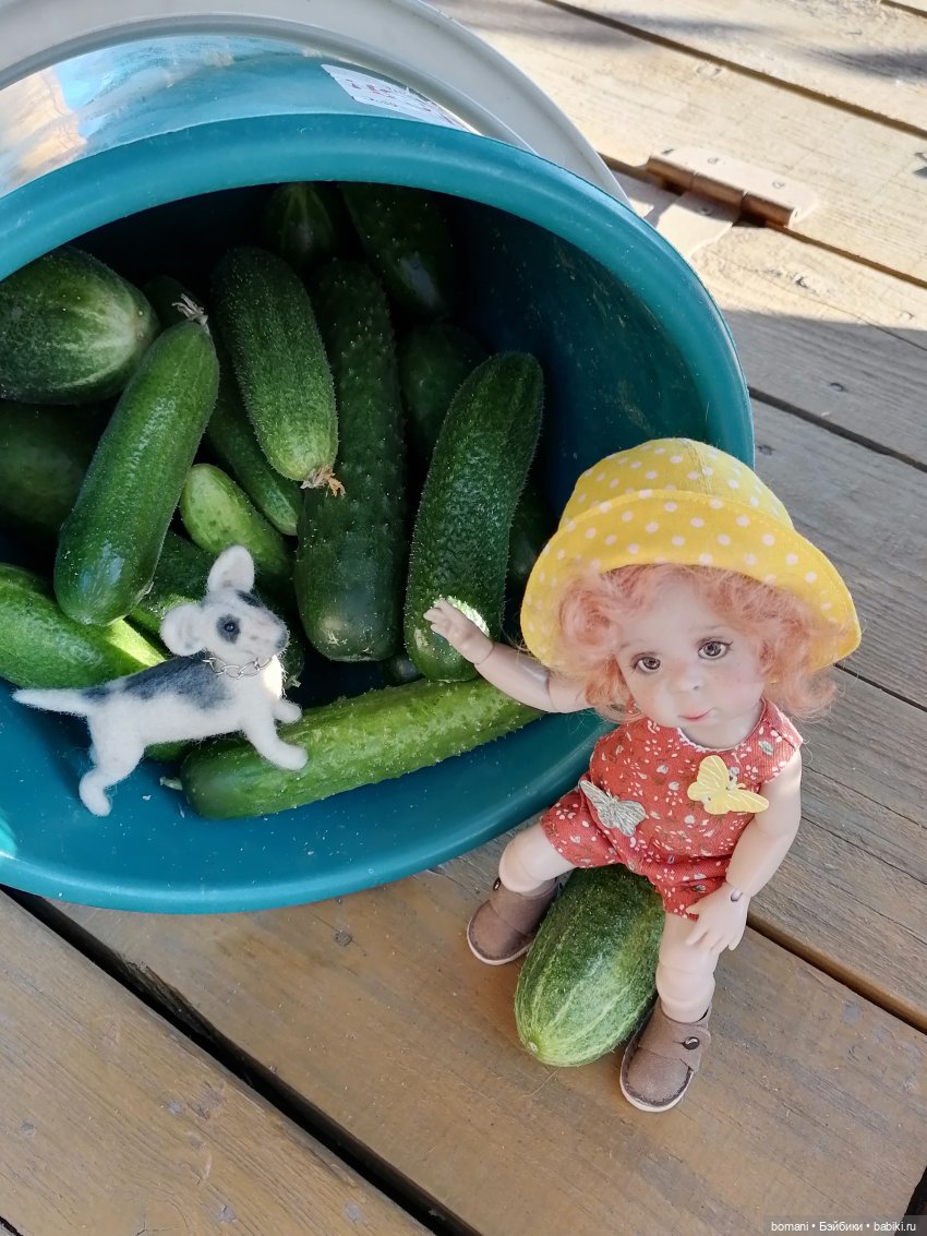 Осенне-огородное — Куклы Miroxdolls (Оксана Миронова): российские БЖД (фото 3)