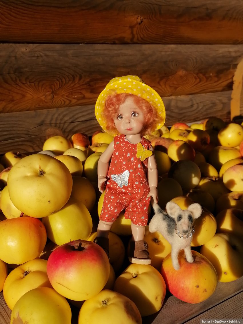 Осенне-огородное — Куклы Miroxdolls (Оксана Миронова): российские БЖД