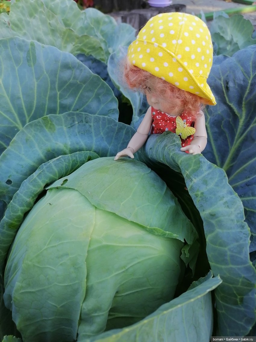 Осенне-огородное — Куклы Miroxdolls (Оксана Миронова): российские БЖД (фото 7)