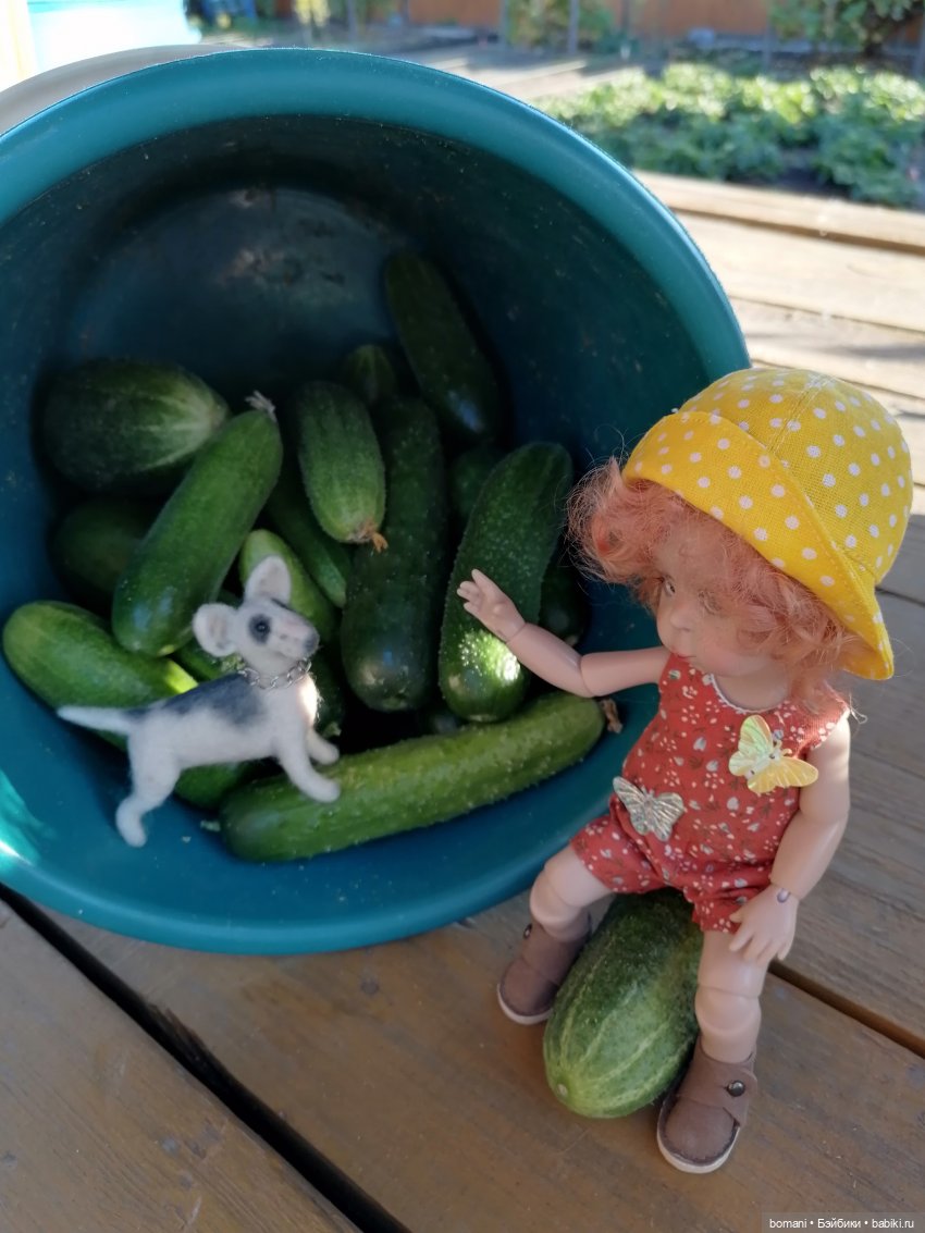 Осенне-огородное — Куклы Miroxdolls (Оксана Миронова): российские БЖД (фото 4)