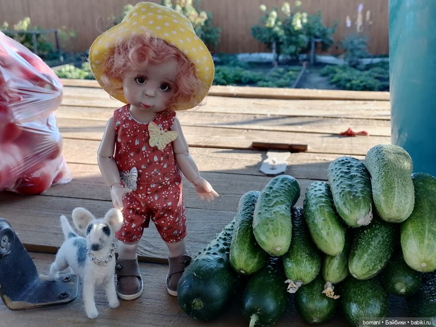 Осенне-огородное — Куклы Miroxdolls (Оксана Миронова): российские БЖД (фото 6)