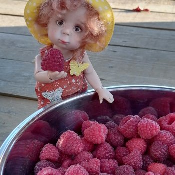 Осенне-огородное