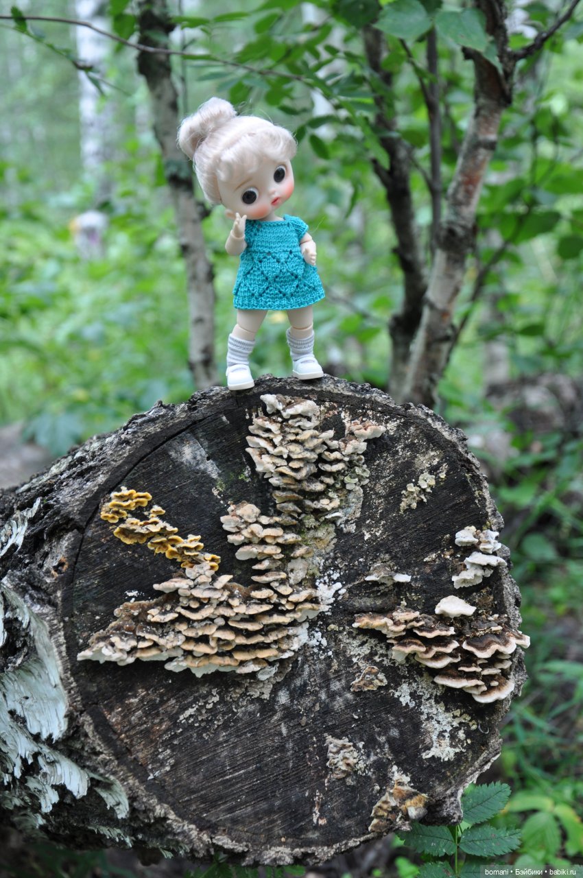 Буся покорительница гор — Гибриды шарнирных кукол (не БЖД): подбор тела