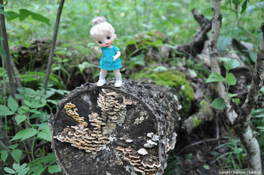 Буся покорительница гор — Гибриды шарнирных кукол (не БЖД): подбор тела