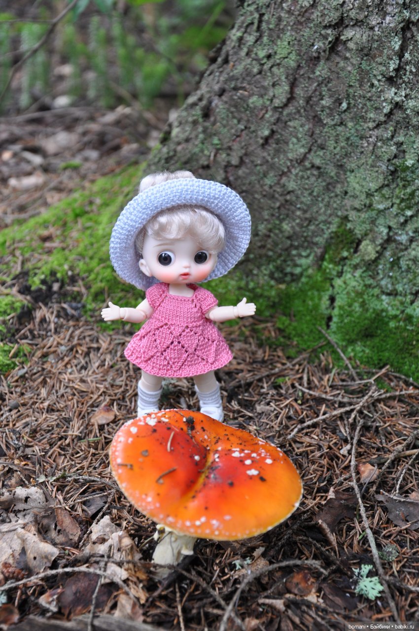 Буся покорительница гор — Гибриды шарнирных кукол (не БЖД): подбор тела