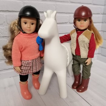 Когда жокей твое хобби