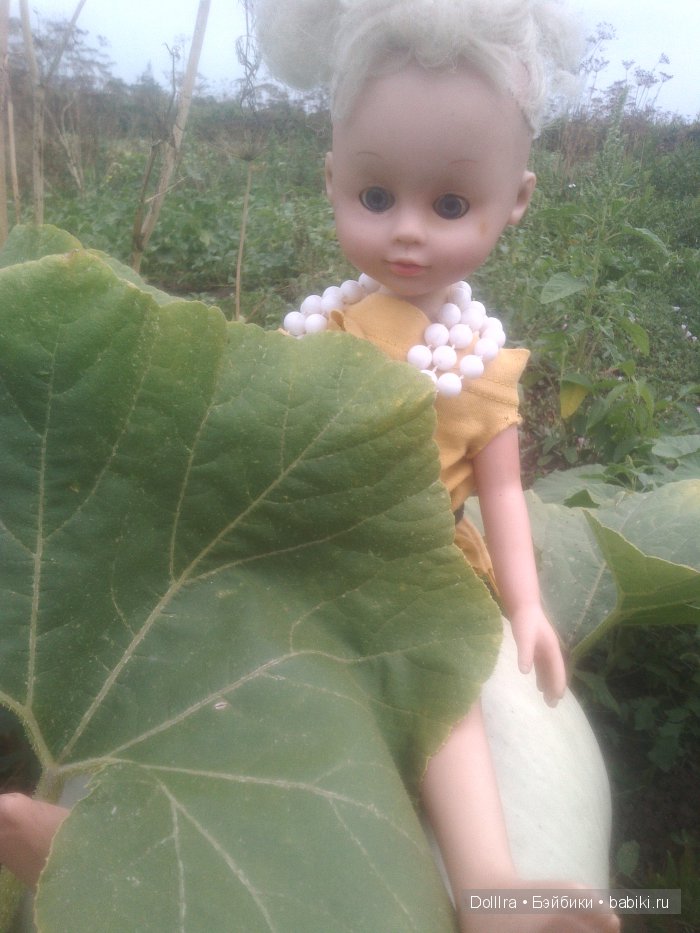 Сегодня мы с куклой shadiva Каролиной фотографировались в саду и в огороде. Приятного просмотра