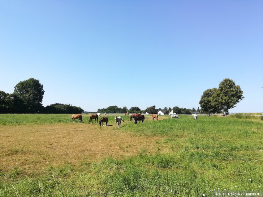 Любимая Кора, Cora Sasha Morgenthaer doll (фото 4)