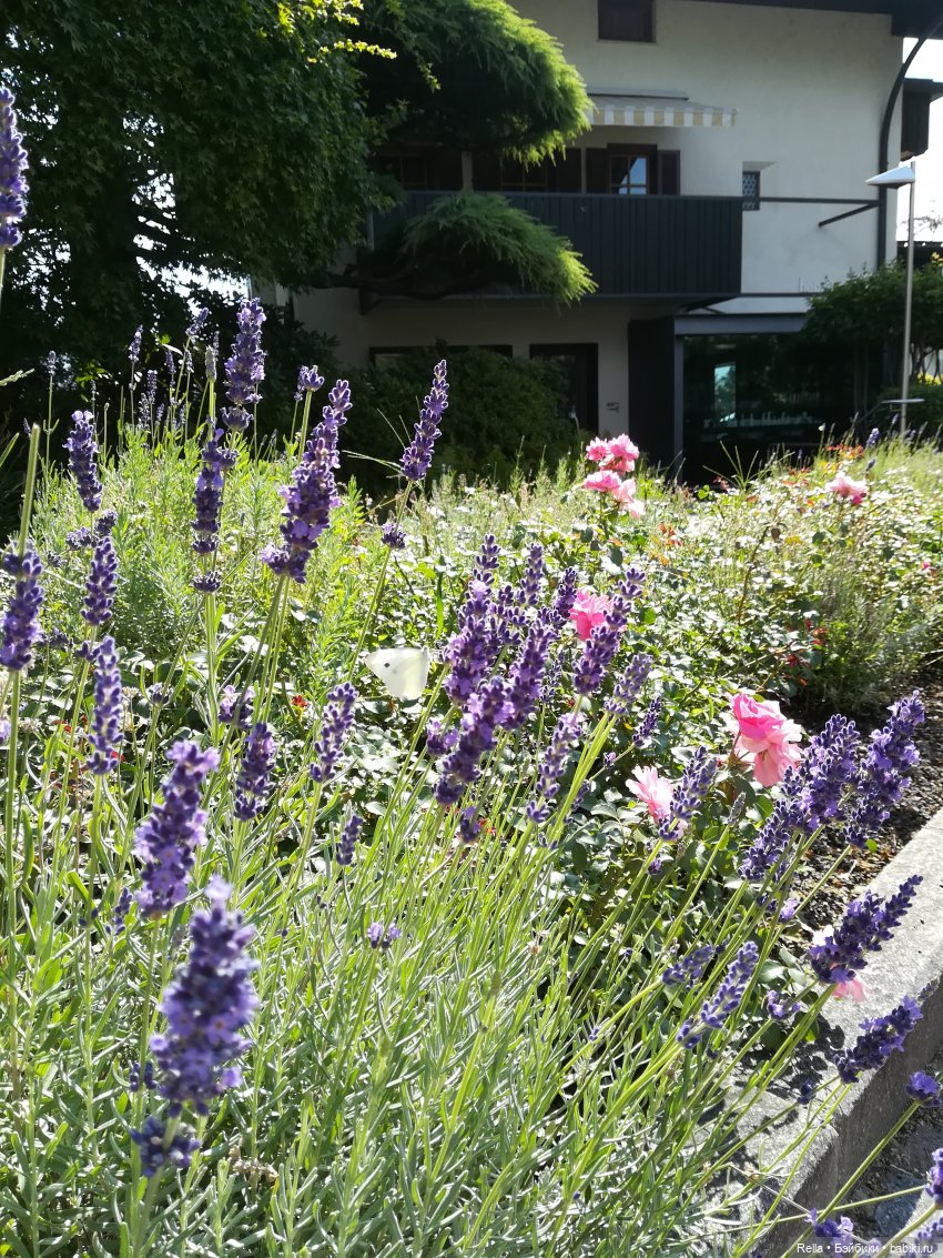 В преддверии праздника! Sasha Doll