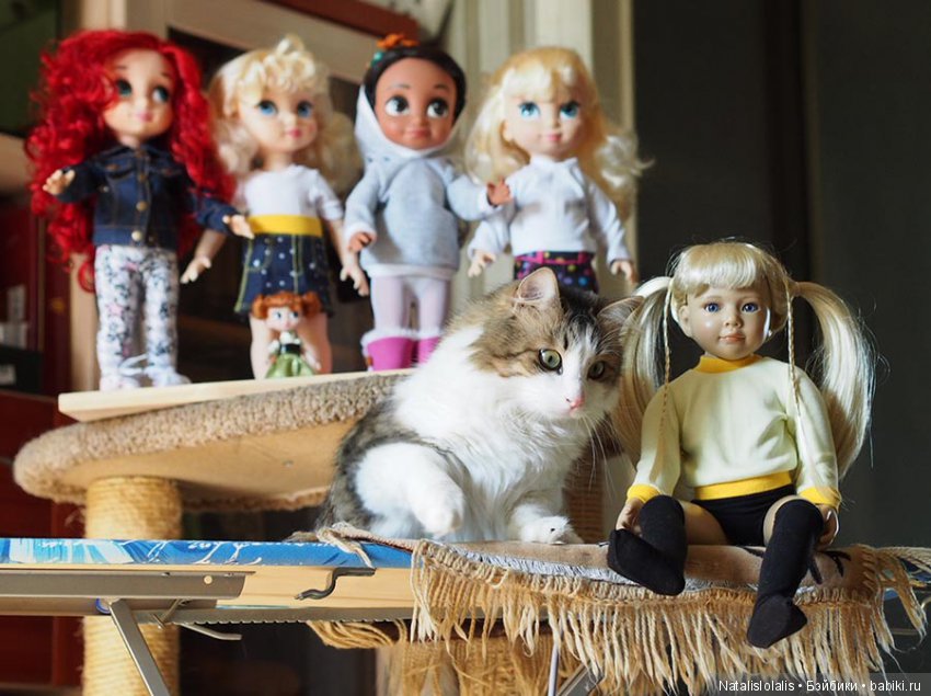 Пришли сказать здравствуйте