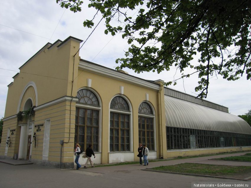 Кукольный пикник в Питере (фото 5)