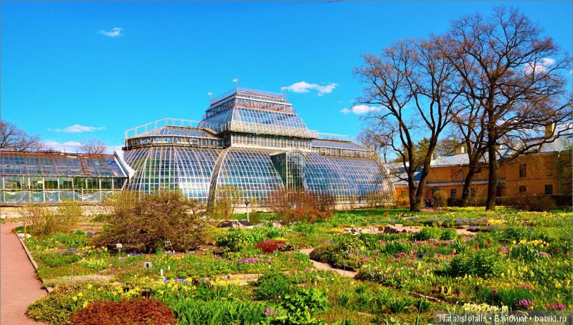 Кукольный пикник в Питере (фото 2)