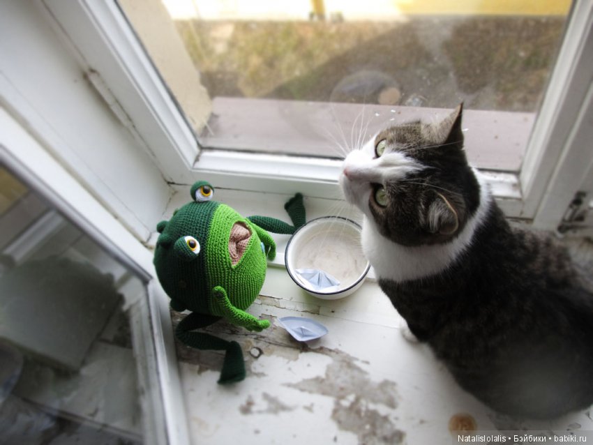 Жабы мореплаватели — Вязаные игрушки и амигуруми: крючком