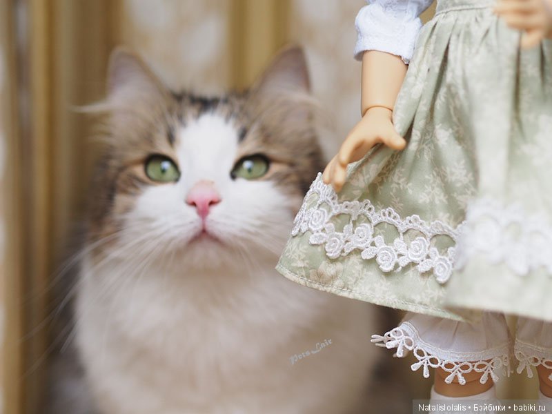 Наряжаем Марусю, юбилейный топик