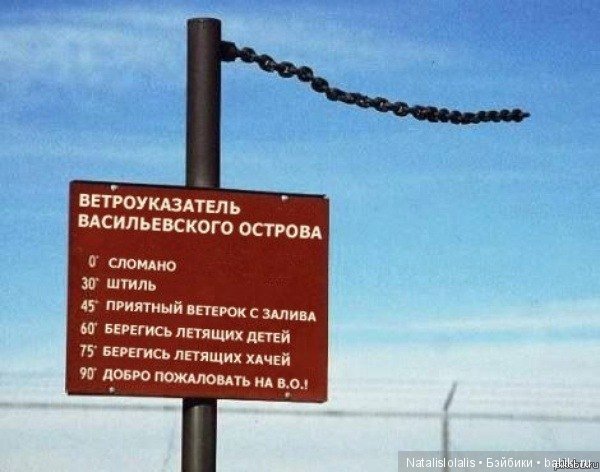 Люблю ветер, живу у моря — Куклы Kidz'n'Cats (Соня Хартман): шарнирные 46 см (фото 8)