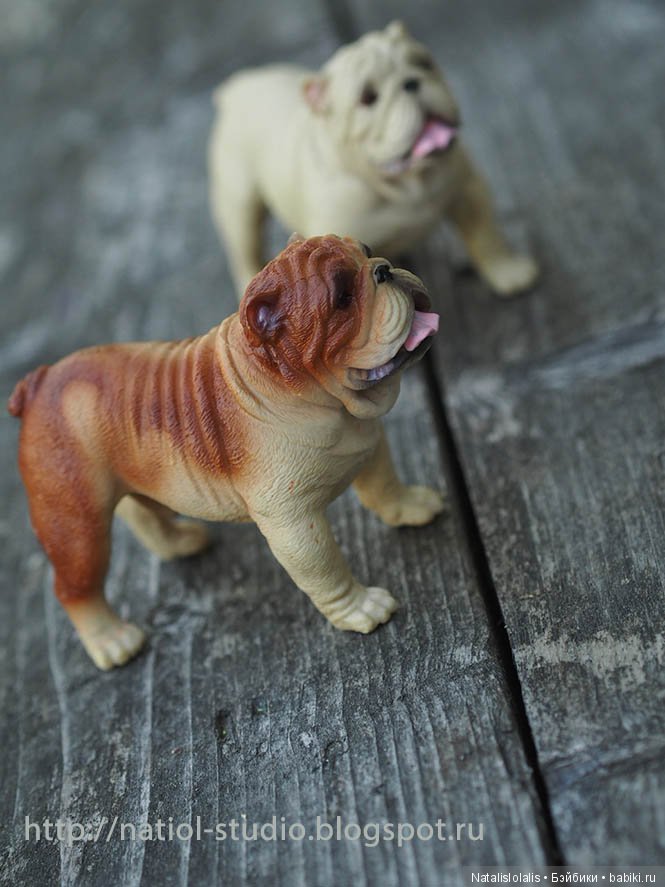 Дружилки Kidz'n'Cats на каникулах