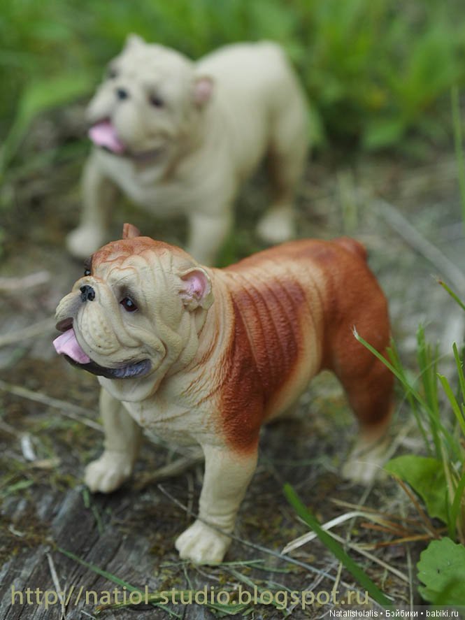 Дружилки Kidz'n'Cats на каникулах