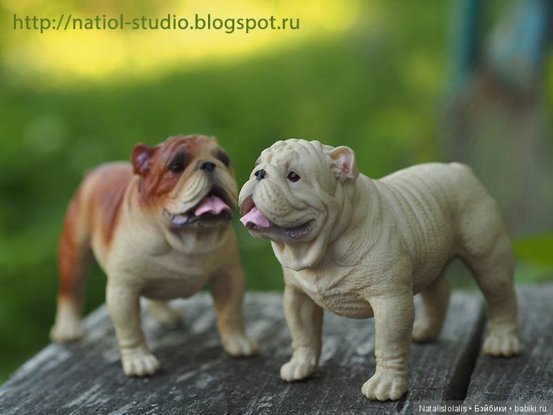 Дружилки Kidz'n'Cats на каникулах