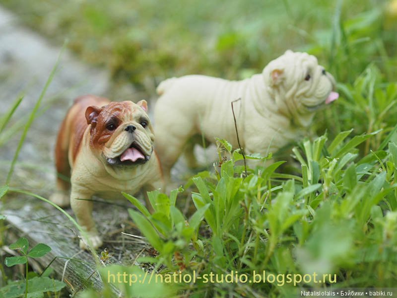 Дружилки Kidz'n'Cats на каникулах