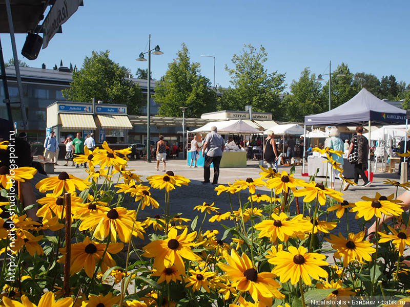 Выходные Kid iplehouse на Сайме