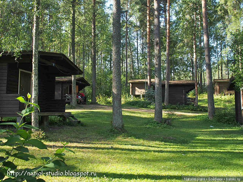 Выходные Kid iplehouse на Сайме (фото 9)