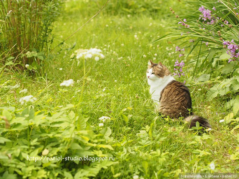 Босоногое детство — Куклы Kidz'n'Cats (Соня Хартман): шарнирные 46 см