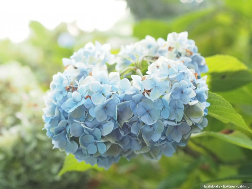 Лучшие мгновения лихого 2020