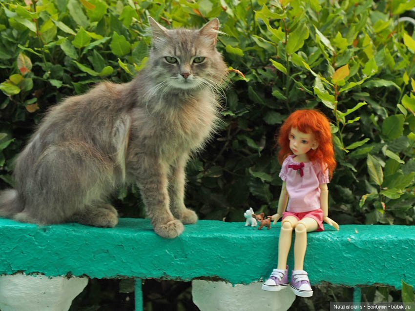 Лучшие мгновения лихого 2020